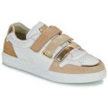 Lage Sneakers Caval  VELCROS