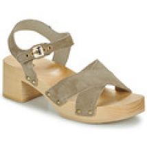 Sandalen Scholl  PESCURA CATE