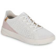 Lage Sneakers Saola  CANNON KNIT 3