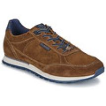 Lage Sneakers Bugatti  IVAR