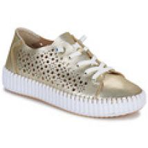 Lage Sneakers YOKONO  SINTRA