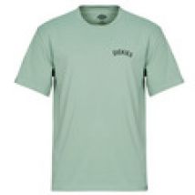 T-shirt Korte Mouw Dickies  DICKIES SNAKE SS TEE