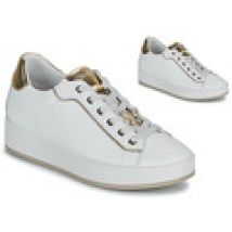 Lage Sneakers IgI&CO  D.ALINA