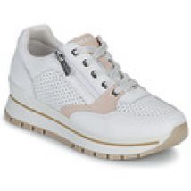 Lage Sneakers IgI&CO  D.ANIKA