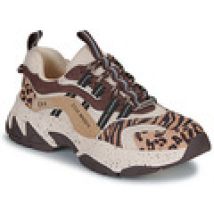 Lage Sneakers Steve Madden  ANIMATES-L