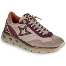 Lage Sneakers Cetti  C-1259-SRA-XLEXP-INV-ANTE-FREEDOM-BEIGE
