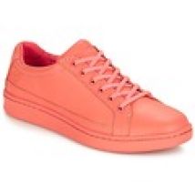 Lage Sneakers Timberland  San Francisco Flavor Oxford