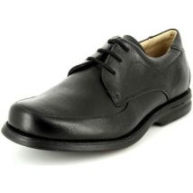 Ville basse Anatomic & Co -