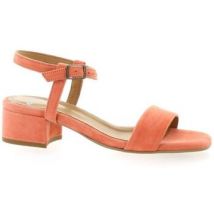Sandales à talon Exit Nu pieds cuir velours