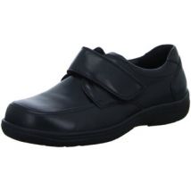 Derbies Waldläufer -