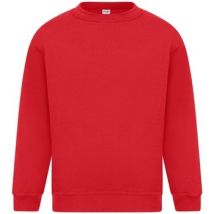 Sweatshirts Absolute Apparel Sterling