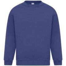 Sweatshirts Absolute Apparel Sterling