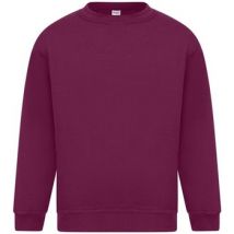 Sweat-shirt Absolute Apparel Sterling