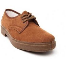Derbies Northome 55381