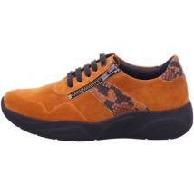 Baskets basses Solidus -