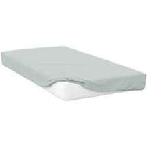 Draps housse Belledorm Kingsize BM113
