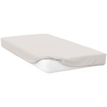 Draps housse Belledorm Double BM133