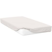 Draps housse Belledorm Kingsize BM122