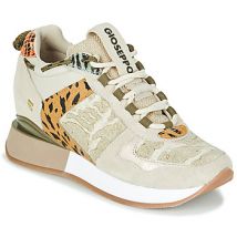 Baskets basses Gioseppo PATERSON