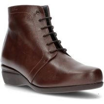 Bottines Dtorres 899745 tabaco