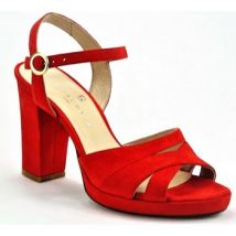 Chaussures escarpins Sofia Costa 10278