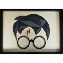 Tableaux, toiles Polygone Origami Harry Potter