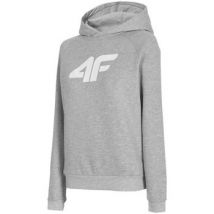 Sweatshirts à capuche 4F BLD023
