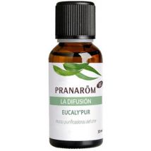 Bougies, diffuseurs Pranarôm La Difusion Eucaly'Pur