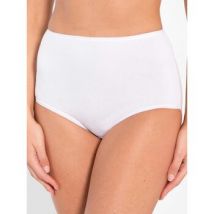 Culottes & slips Daxon by - Lot de 3 culottes maxi