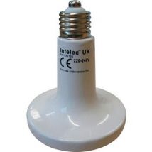 Abats jours et pieds de lampe Intelec 250 W TL4100