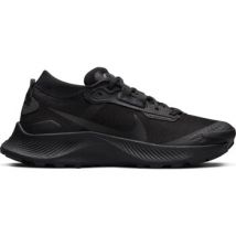 Chaussures Nike Pegasus Trail 2 Gtx