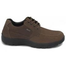Chaussures Alviflex A7825