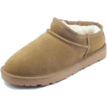 Bottes Pregunta PL5884
