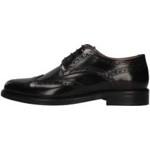 Derbies Fedeni 916