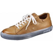 Ville basse Stexx -