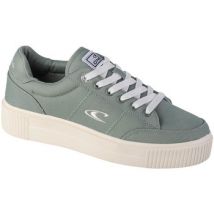 Chaussures de Skate O'neill Sunset CVS Wmn Low