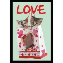 Miroirs Bazooka Miroir rectangulaire sérigraphié chatons