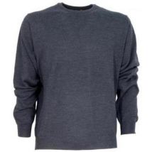 Sweat-shirt Bramante -