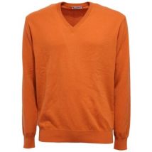 Pull Kangra -