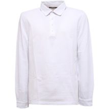 Polo Kangra -