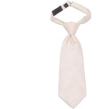 Cravates et accessoires Messori -