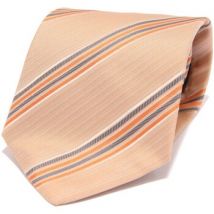Cravates et accessoires Rocco Barocco -