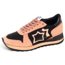 Baskets basses Atlantic Stars -