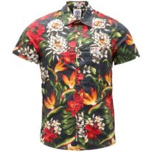 Chemise Franklin & Marshall -
