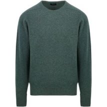 Sweatshirts William Lockie Pull Agneline Vert Moorland