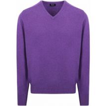 Sweat-shirt William Lockie Col-V Agneline Violet