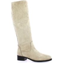 Bottes Exit Bottes cuir velours