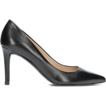 Chaussures escarpins Mascaro 45618 negro