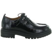Derbies Regarde Le Ciel RAFAL 03