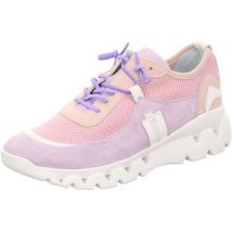 Ville basse Donna Carolina -